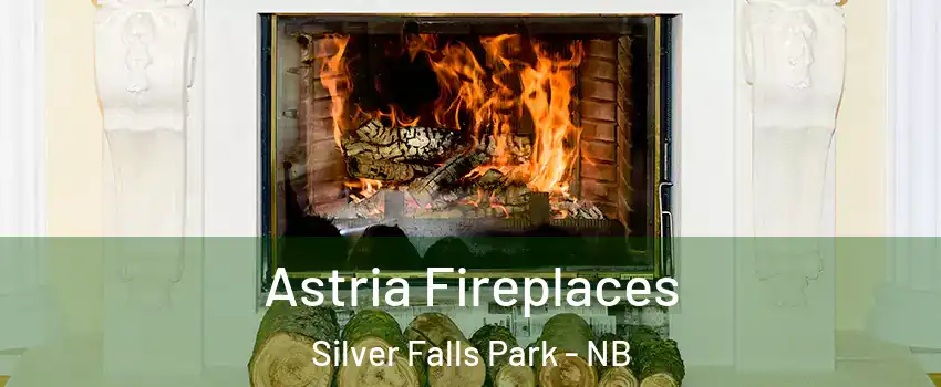  Astria Fireplaces Silver Falls Park - NB
