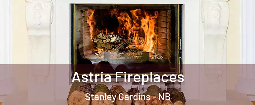  Astria Fireplaces Stanley Gardins - NB