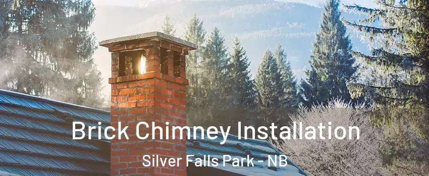  Brick Chimney Installation Silver Falls Park - NB