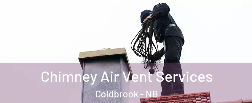  Chimney Air Vent Services Coldbrook - NB