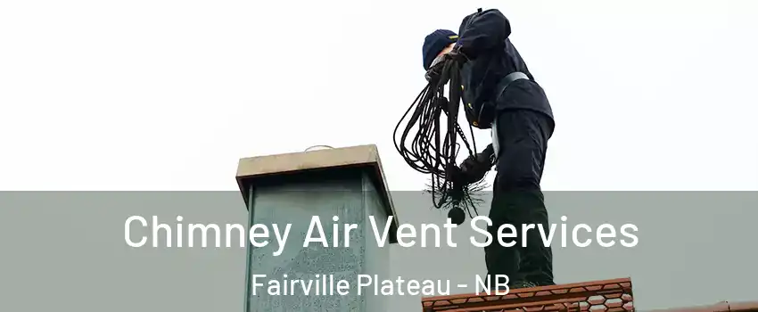  Chimney Air Vent Services Fairville Plateau - NB