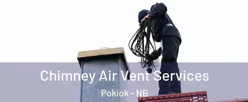  Chimney Air Vent Services Pokiok - NB
