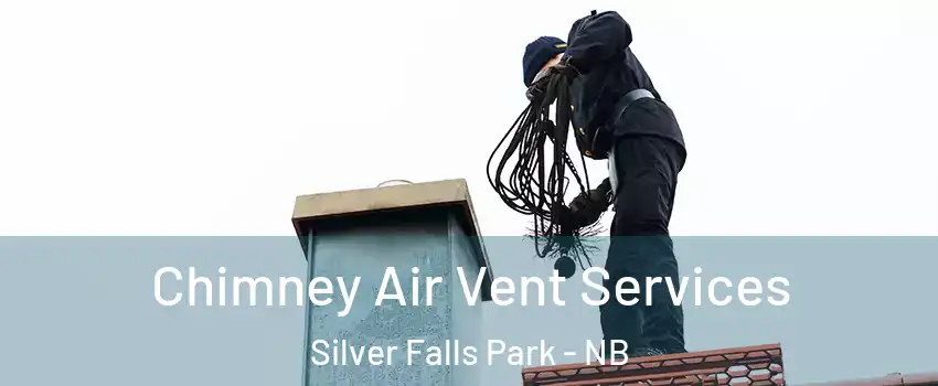  Chimney Air Vent Services Silver Falls Park - NB