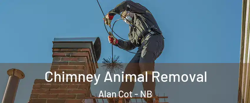 Chimney Animal Removal Alan Cot - NB