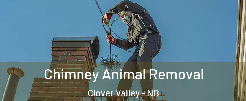 Chimney Animal Removal Clover Valley - NB