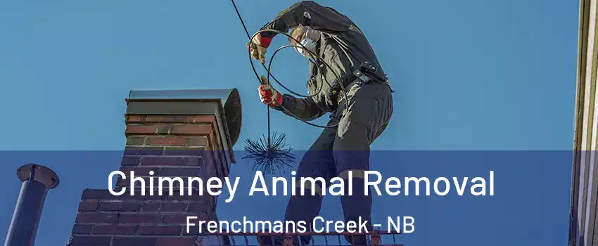 Chimney Animal Removal Frenchmans Creek - NB