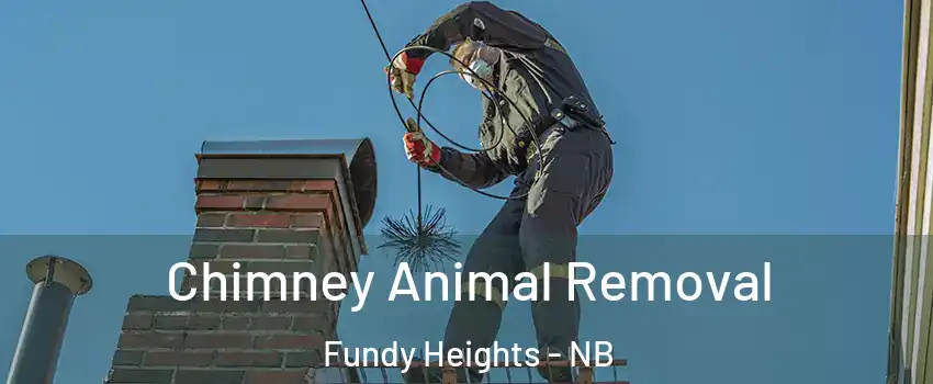 Chimney Animal Removal Fundy Heights - NB