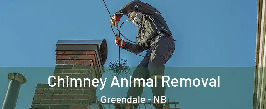 Chimney Animal Removal Greendale - NB