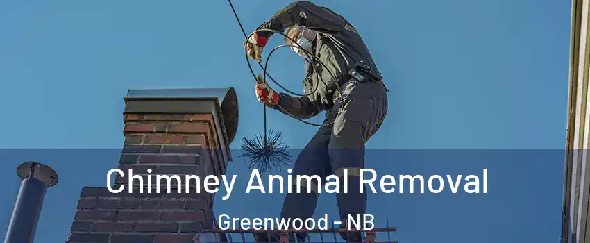 Chimney Animal Removal Greenwood - NB