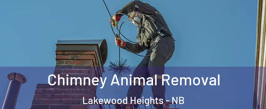 Chimney Animal Removal Lakewood Heights - NB