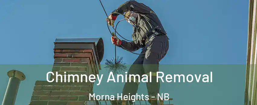 Chimney Animal Removal Morna Heights - NB