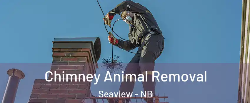Chimney Animal Removal Seaview - NB