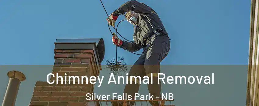 Chimney Animal Removal Silver Falls Park - NB