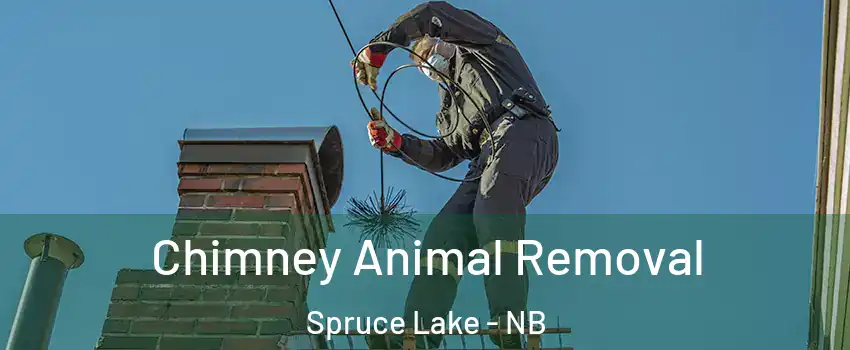 Chimney Animal Removal Spruce Lake - NB