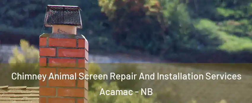  Chimney Animal Screen Repair And Installation Services Acamac - NB