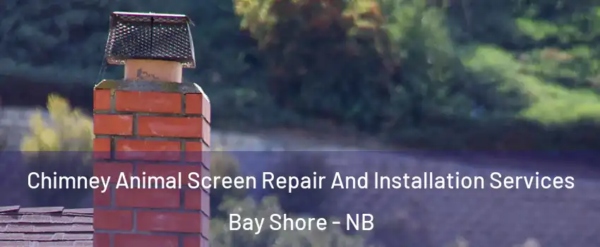  Chimney Animal Screen Repair And Installation Services Bay Shore - NB