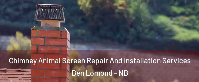  Chimney Animal Screen Repair And Installation Services Ben Lomond - NB