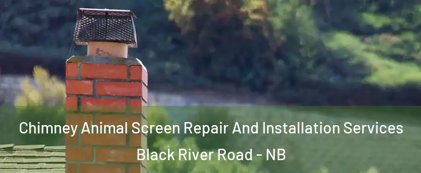  Chimney Animal Screen Repair And Installation Services Black River Road - NB