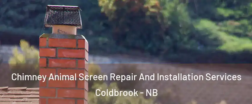  Chimney Animal Screen Repair And Installation Services Coldbrook - NB