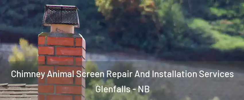  Chimney Animal Screen Repair And Installation Services Glenfalls - NB