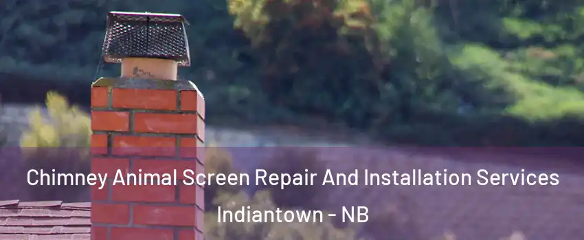 Chimney Animal Screen Repair And Installation Services Indiantown - NB
