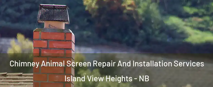  Chimney Animal Screen Repair And Installation Services Island View Heights - NB