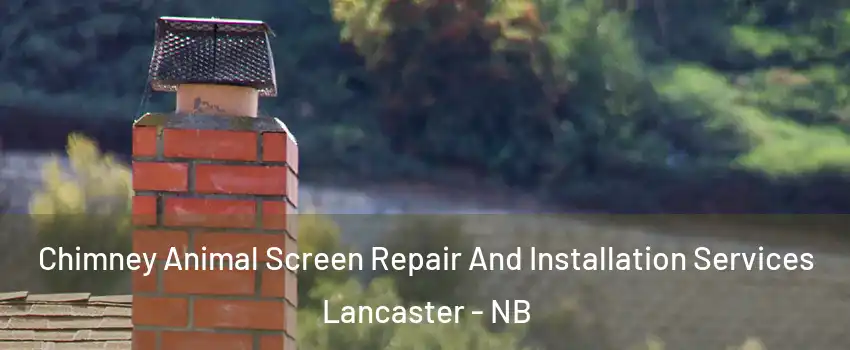  Chimney Animal Screen Repair And Installation Services Lancaster - NB
