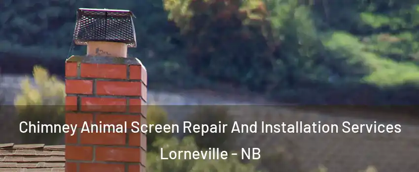  Chimney Animal Screen Repair And Installation Services Lorneville - NB