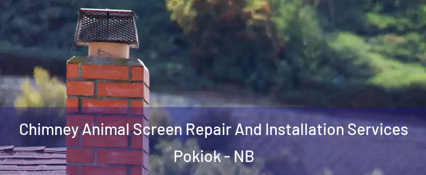  Chimney Animal Screen Repair And Installation Services Pokiok - NB
