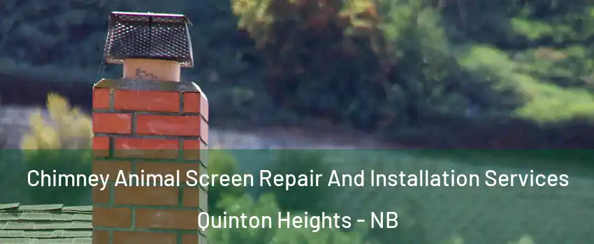  Chimney Animal Screen Repair And Installation Services Quinton Heights - NB