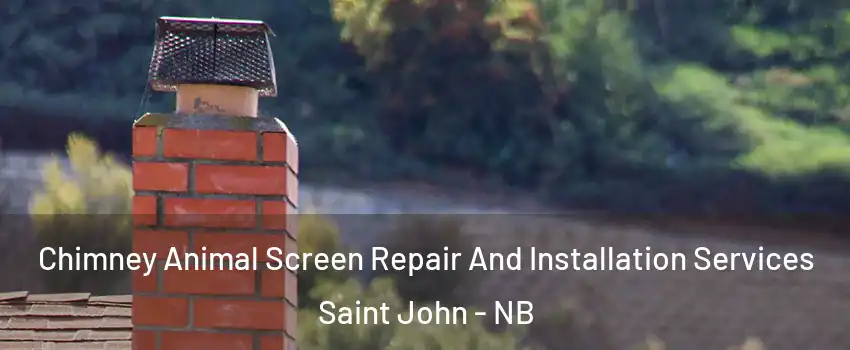  Chimney Animal Screen Repair And Installation Services Saint John - NB