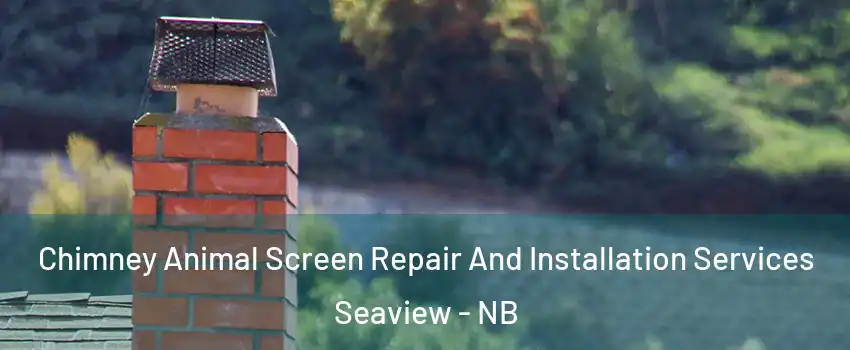  Chimney Animal Screen Repair And Installation Services Seaview - NB