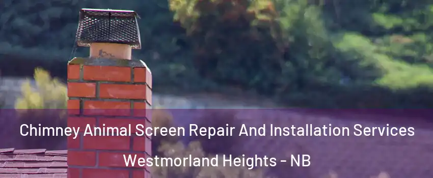 Chimney Animal Screen Repair And Installation Services Westmorland Heights - NB