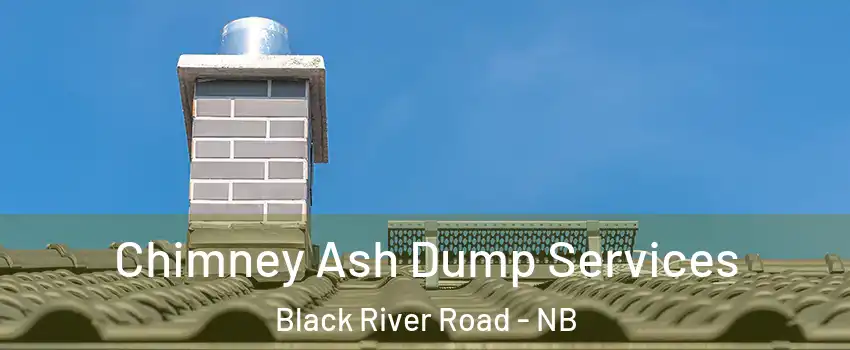  Chimney Ash Dump Services Black River Road - NB