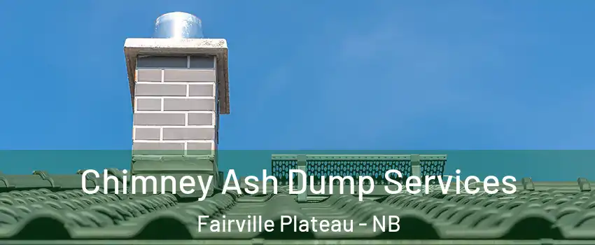  Chimney Ash Dump Services Fairville Plateau - NB