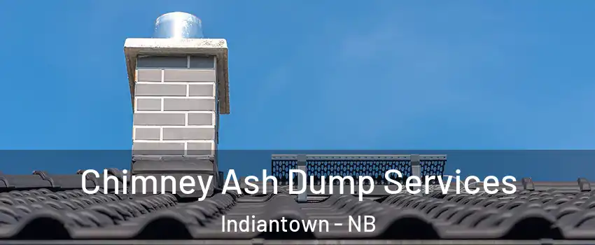  Chimney Ash Dump Services Indiantown - NB
