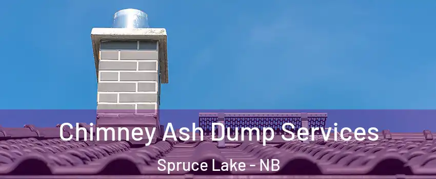  Chimney Ash Dump Services Spruce Lake - NB