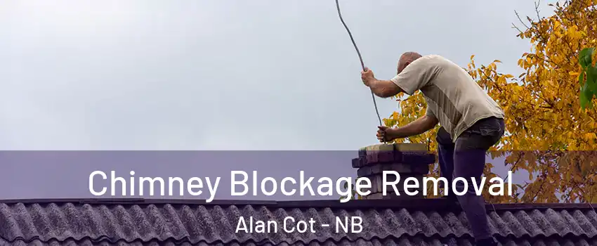  Chimney Blockage Removal Alan Cot - NB
