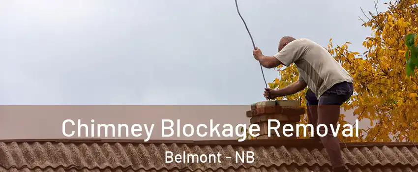  Chimney Blockage Removal Belmont - NB