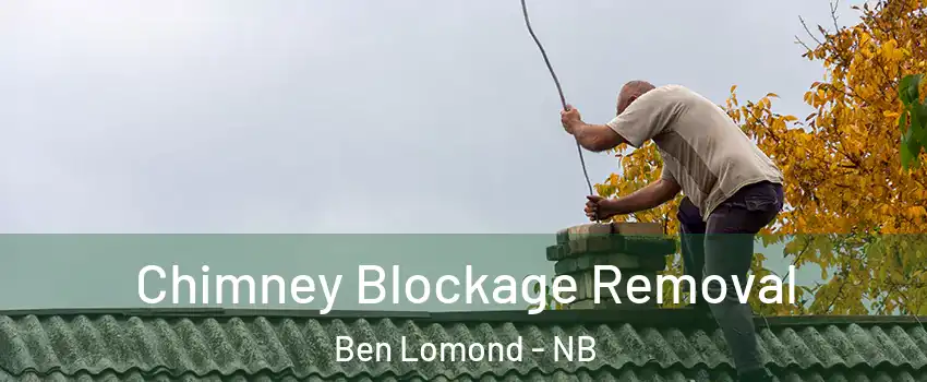  Chimney Blockage Removal Ben Lomond - NB