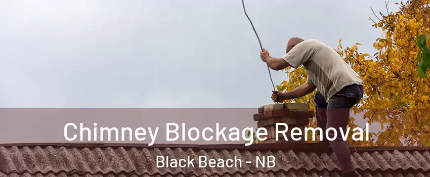  Chimney Blockage Removal Black Beach - NB