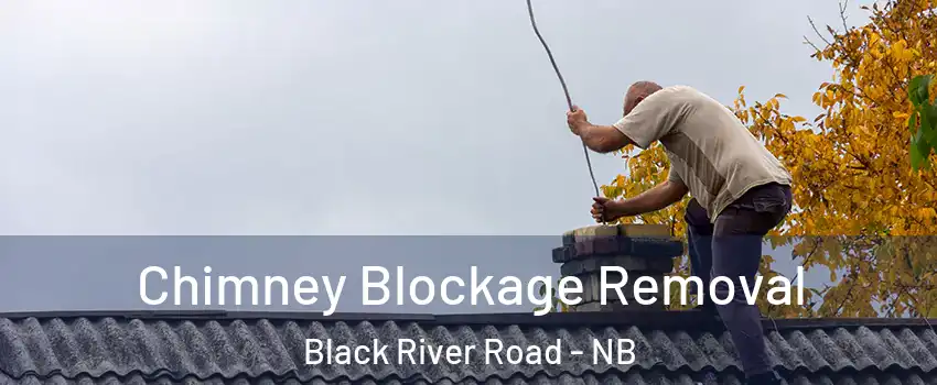  Chimney Blockage Removal Black River Road - NB