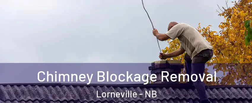  Chimney Blockage Removal Lorneville - NB
