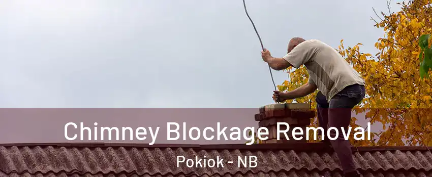  Chimney Blockage Removal Pokiok - NB