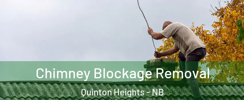  Chimney Blockage Removal Quinton Heights - NB