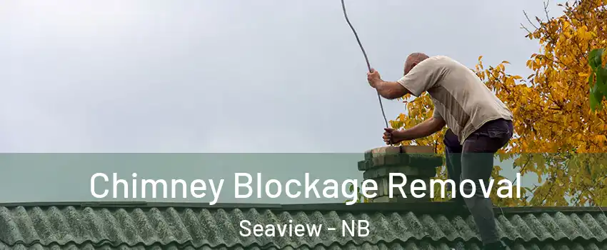  Chimney Blockage Removal Seaview - NB
