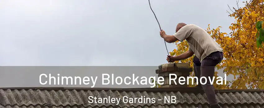  Chimney Blockage Removal Stanley Gardins - NB