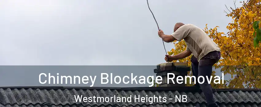  Chimney Blockage Removal Westmorland Heights - NB