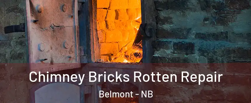  Chimney Bricks Rotten Repair Belmont - NB