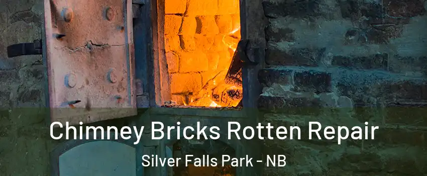  Chimney Bricks Rotten Repair Silver Falls Park - NB